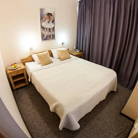 Hotel Mini-hotel Kyivskyі